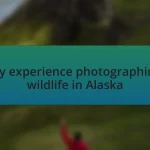 My experience photographing wildlife in Alaska