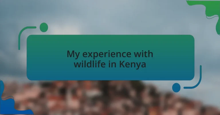 My experience with wildlife in Kenya